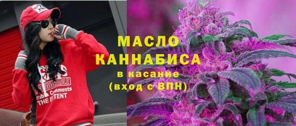 дживик Пестово